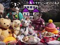 ぬいぐるみのためのお花見パーティ2020