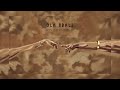 Danya devs ft Mawelele - Ola sbali (official audio)