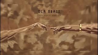 Danya devs ft Mawelele - Ola sbali (official audio)