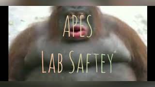 APES Lab Saftey