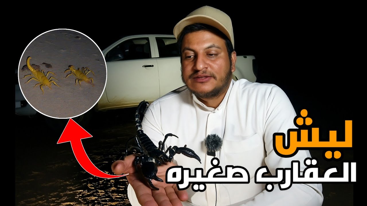 رحلة البحث عن العقارب لكن حصلنا شي عجيب وغريب