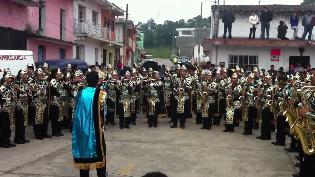Resultado de imagen para buhos marching band