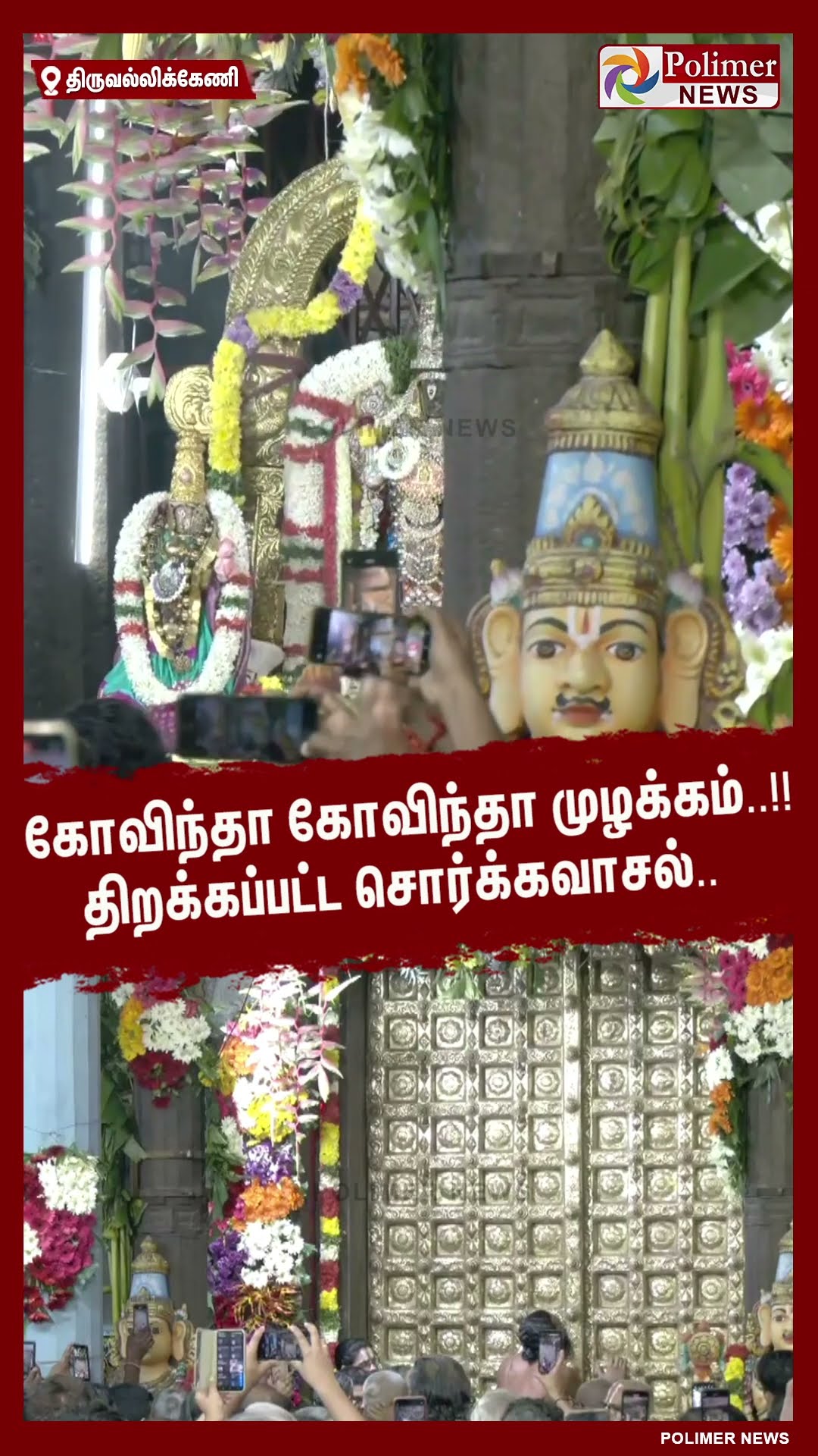 கோவிந்தா கோவிந்தா முழக்கம்..!! திறக்கப்பட்ட சொர்க்கவாசல்.. #shorts | #sorgavaasal