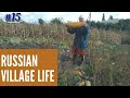 Village Life in Russia || How they store vegetables for Winters