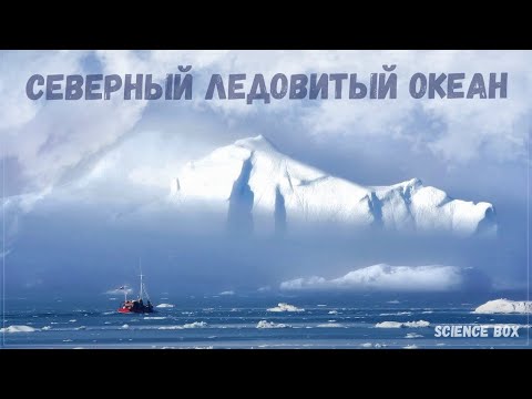 Северный Ледовитый океан - общая информация - Science Box