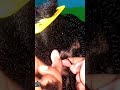 How to secure twist on natural hairordainednaturals naturalhairgoals naturalhairstyles