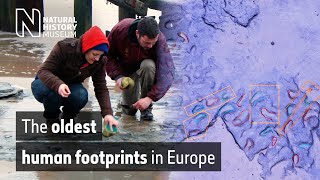 The oldest human footprints in Europe | Natural History Museum