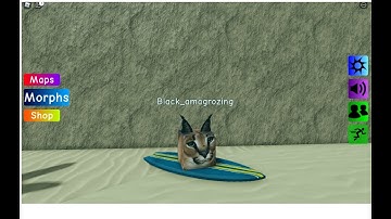 Roblox Find The Floppa Morphs. How To Get Surfboard Floppa (In Water Map)