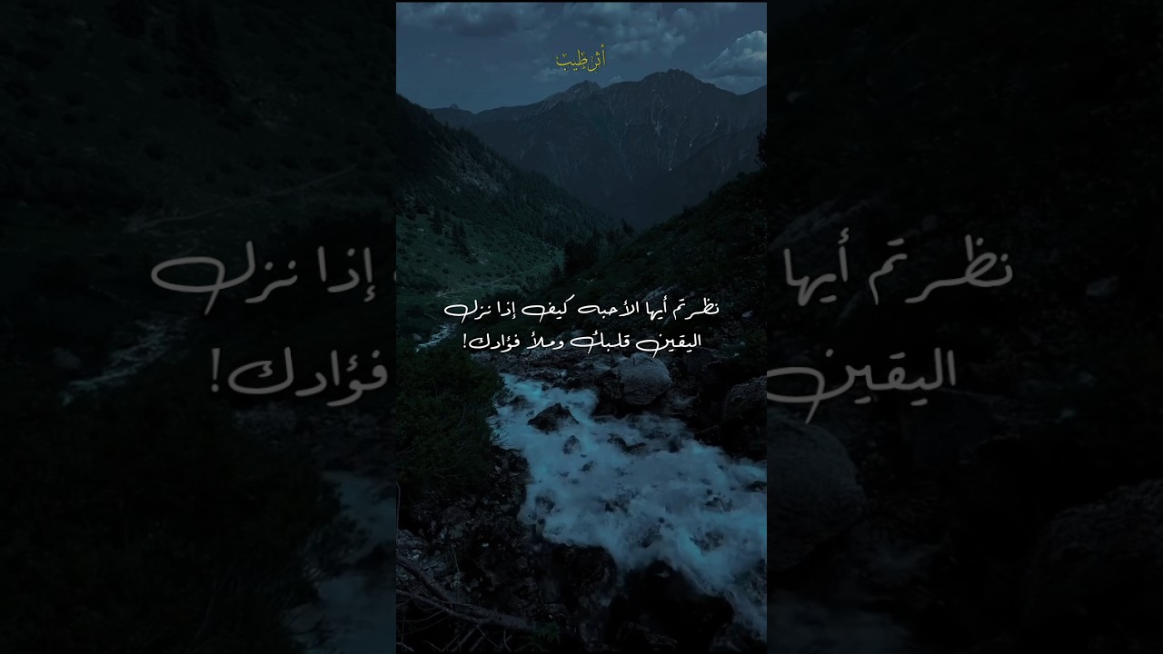 ارضى بقضاء الله ولا تقنط 🤍🌿 #مواعظ #فيديوهات_دينيه #القضاء_والقدر #ناصر_الحميد