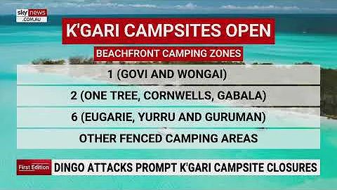 Three popular K'gari campsites shut amid rising dingo attack risks