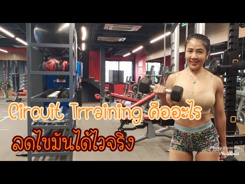 Circuit Training คืออะไร|ออกแบบไหนลดไขมันได้จริง|Sexy muscles