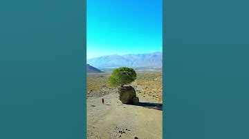 مثل الذين كفروا بربهم أعمالهم كرماد // القارئ الشيخ سعود الشريم