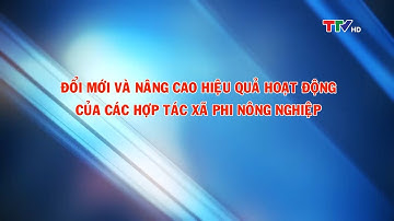 Phóng sự: Đổi mới và nâng cao hiệu quả hoạt động của các HTX phi nông nghiệp
