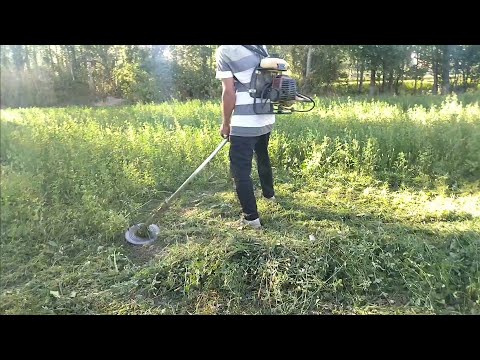 برداشت یونجه با علف تراش پشتی 1401