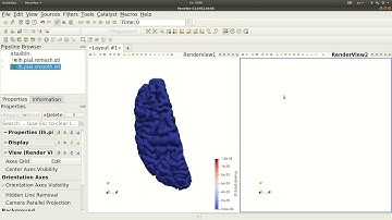 mri2fem: Creating a brain mesh from surfaces using SVM-Tk