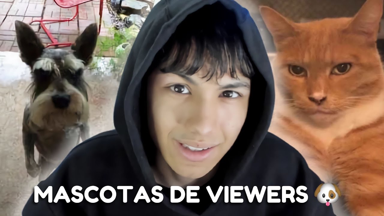 REACCIONANDO A LAS MASCOTAS DE MIS VIEWERS 🐶