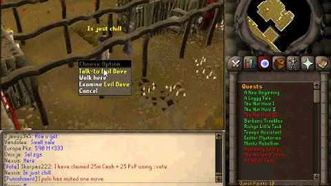 Pwnxile number 1 rsps, 317 RSPS with turmoil and soulsplit, 2 worlds