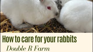 Easy care for your rabbits