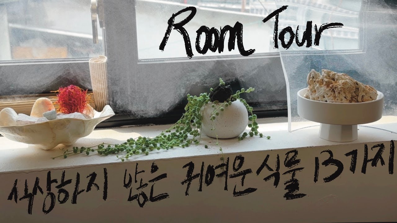 [식물 추천]일반적인 식물은 싫고, 유니크한 귀여운 식물을 키우고 싶다면? 정원놀이의 귀여운 식물 13가지! 🌿