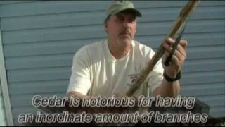 Walking Cane Carving Patterns - WoodWorking Projects &amp; Plans