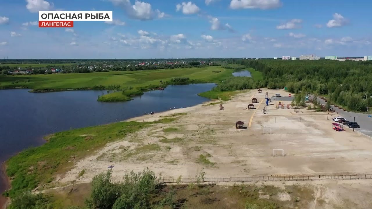 Описторхоз - важно знать!
