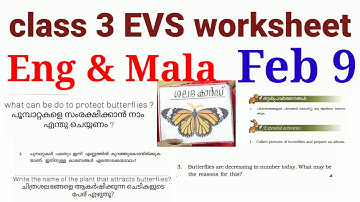 class 3 EVS worksheet 9/2/21| kite victers EVS worksheet 3rd Std 9/2/21 parisarapadanam| #talknwalk