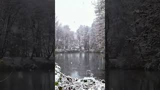 Snow Falling Calmly ❄️