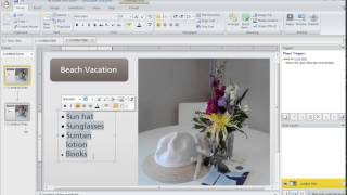 Control Bullet Sizes in Articulate Storyline screenshot 3