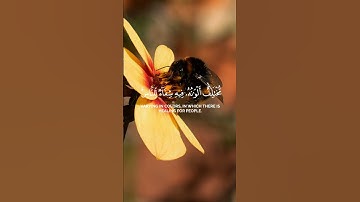 وأوحى ربك إلى النحل   #قران_كريم #اكسبلور #quran #قران #راحة_نفسية #تلاوة_خاشعة #surah