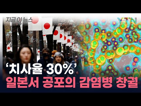 &quot;걸린 줄도 모른다&quot;...日 &#39;치사율 30%&#39; 감염병 확산 비상 [지금이뉴스] / YTN