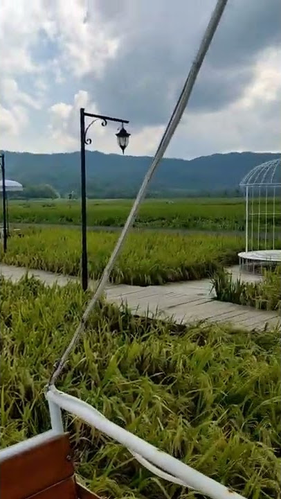 Mahaloka Paradise Jogja #wisata #jogja #short #travel #travelvlog #traveling #paradise