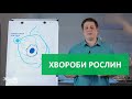 Хвороби рослин та їх збудники (1 частина) | ПРО МІКРОБИ ПРОСТО | 6 серія