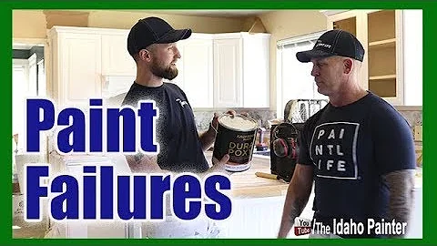 Worst Paint or Best Paint Ever?