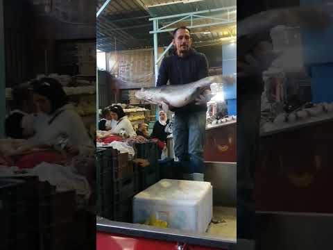 وانا ماشي في السوق لاقيت دة