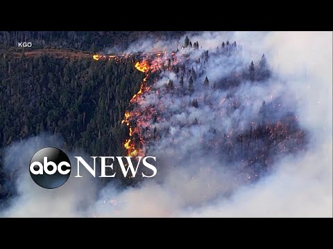 Oak Fire spreads over 6,500 acres in California