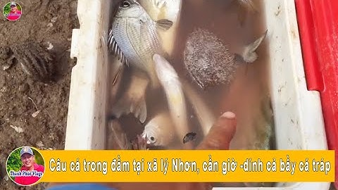 Câu cá trong đầm tại xã lý Nhơn, cần giờ -dính cả bầy cá tráp | Thanh Phúc Vlogs