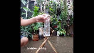 How to display and water the #ohTrees | infinity