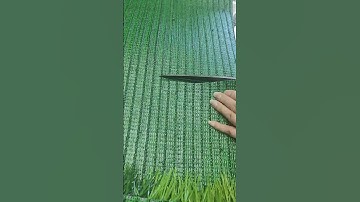 👉👉#doleader -a #directly #supplier #specializing in the #production of #artificialgrass 💚 #factory