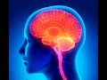 Download Genius Intelligence: Secret Methods To Increase Iq Genius Intelligence: Secret Methods To Increase Iq