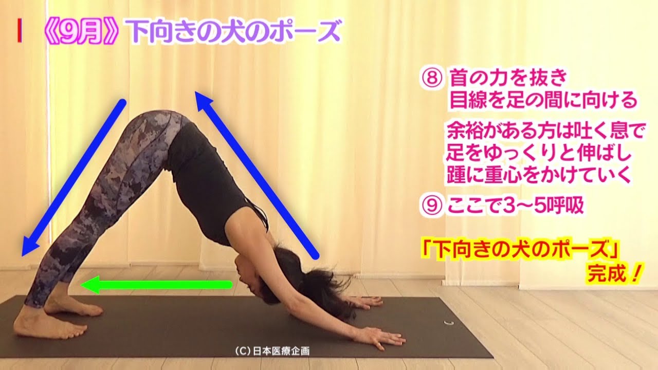 自宅でできる夜ヨガno 6 下向きの犬のポーズ Youtube
