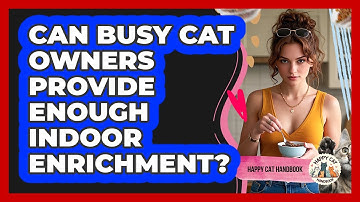 Can Busy Cat Owners Provide Enough Indoor Enrichment? - Happy Cat Handbook