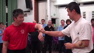 Techniques for Chi Sau pt5