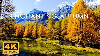 11 HRS Incredible Fall Foliage - Best 4K Autumn Nature Scenes from Around the World + Calming Music