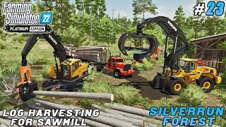 Sale of woodworking products, logging for sawmill | Silverrun Forest | Farming simulator 22 | ep #23