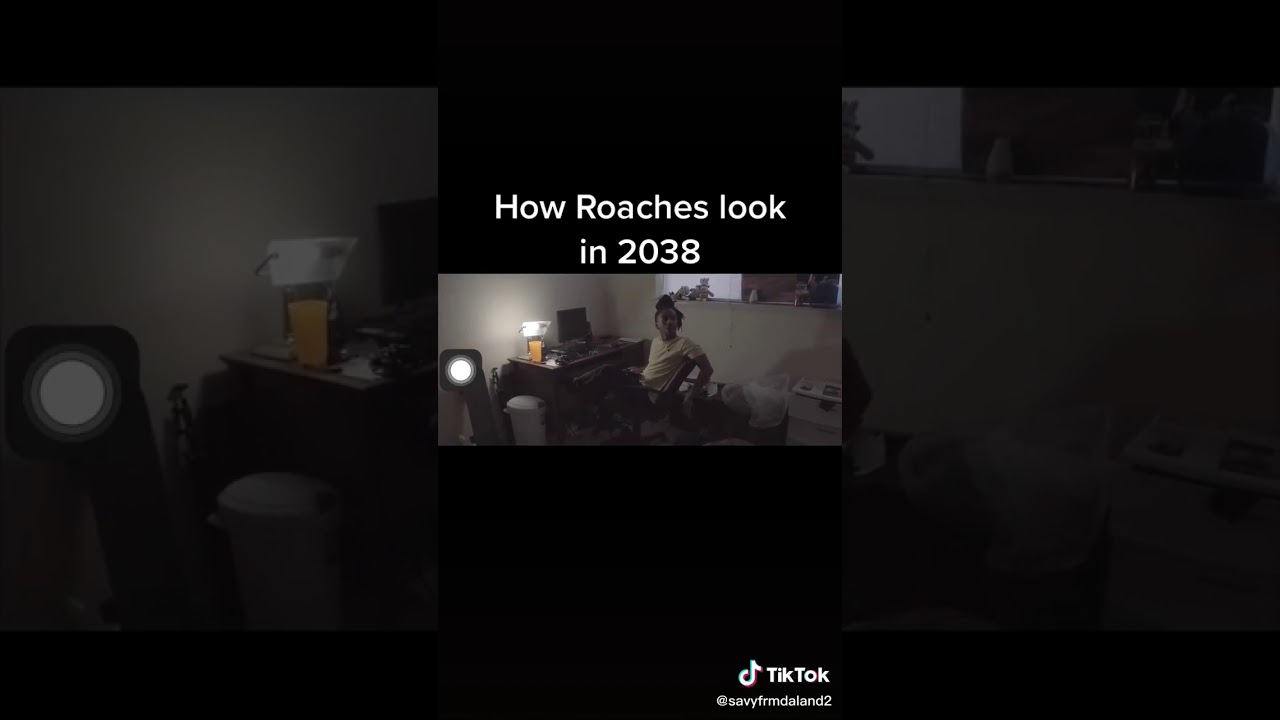How roaches look in 2038 - YouTube