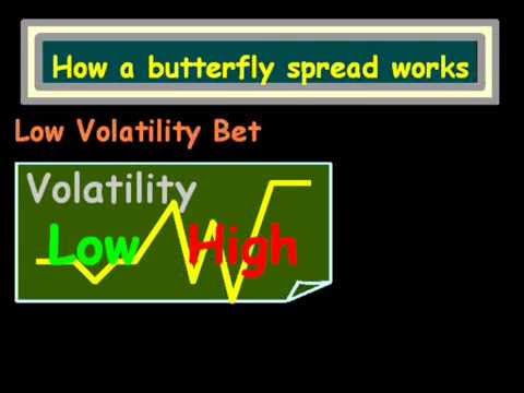 G samdani forex