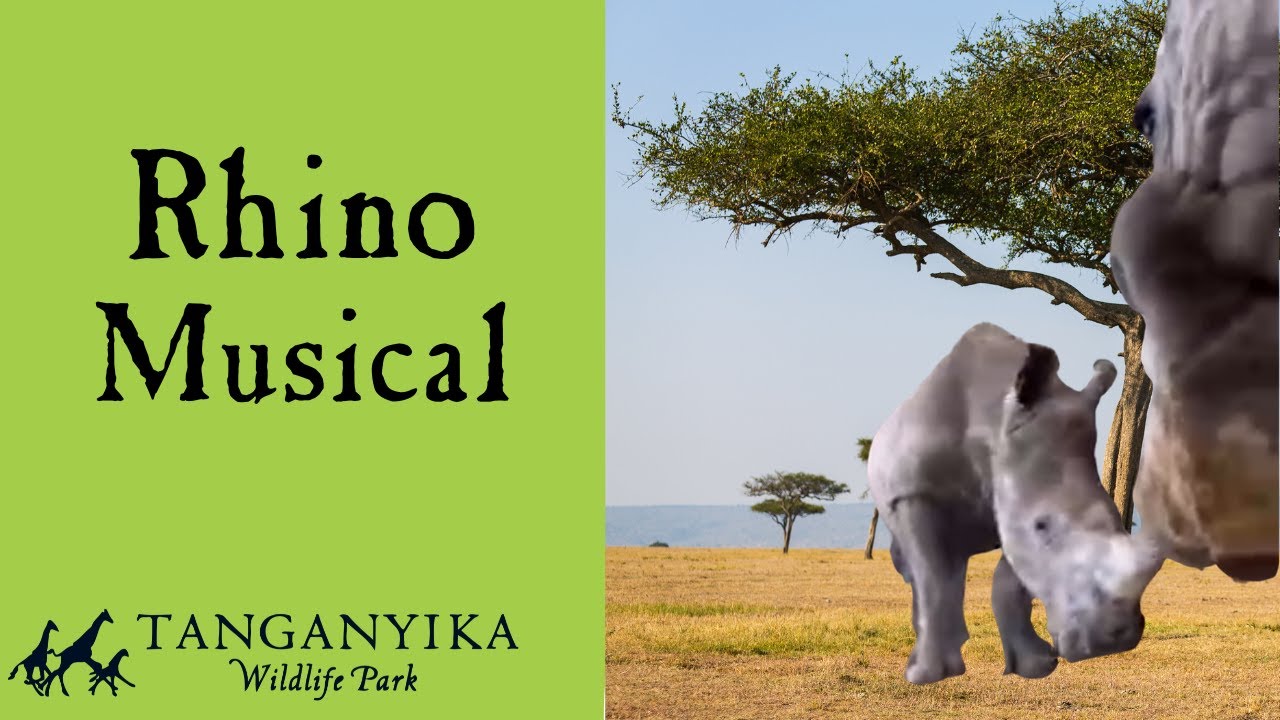 Did you know they made these sounds? Thanks for the vid Keeper Sierra! 