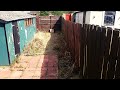 DIY Garden Renovation (Time-lapse) Nice Clouds