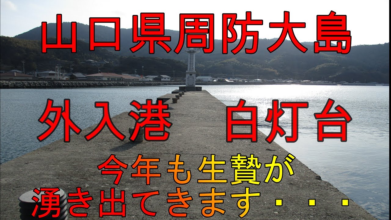 海中動画 第80巻 山口県周防大島外入港 白灯台 の巻 Youtube 海中動画 第80巻 山口県周防大島外入港 白灯台 の巻 Youtube