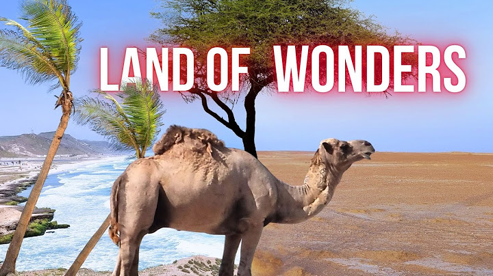 Destination Salalah: The Land of Wonders | Trip Report